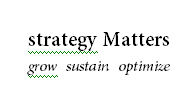 strategy matters grow sustain optimize